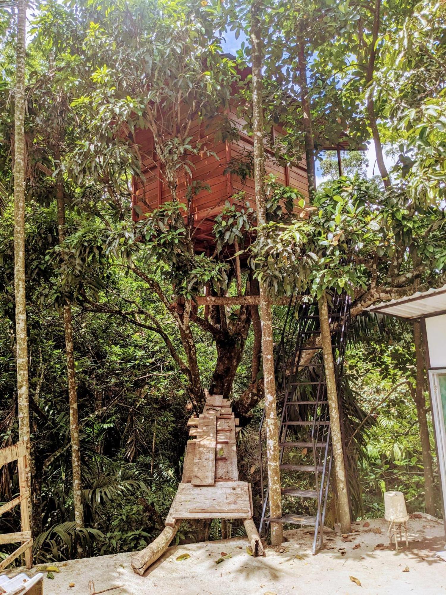Ella Jungle Inn Homestay And Tree House Exterior foto